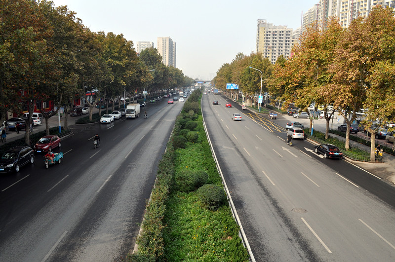 濟南市張莊路道路及排水工程綠化施工第一標段