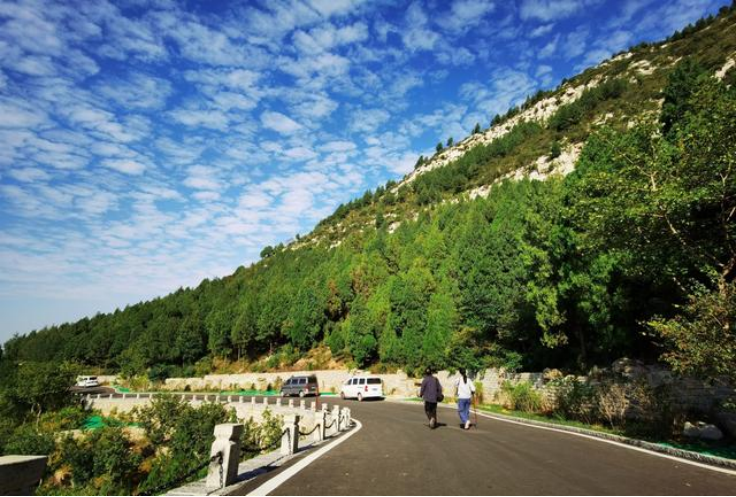 大千佛山風景區(qū)綠道聯(lián)通項目（一期）景觀綠化工程